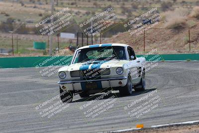 media/Mar-04-2023-West Coast Racing (Sat) [[a3f8e4c156]]/Red/Head On/